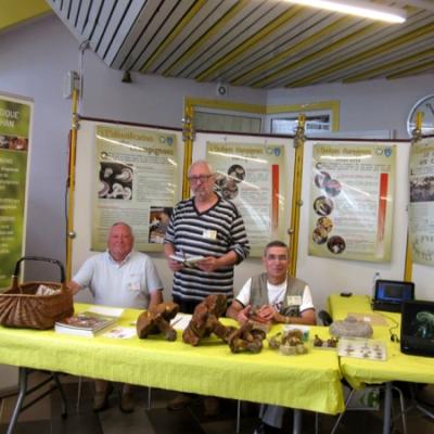 2019 08 31 Ploemeur 1 20190902 1764550706