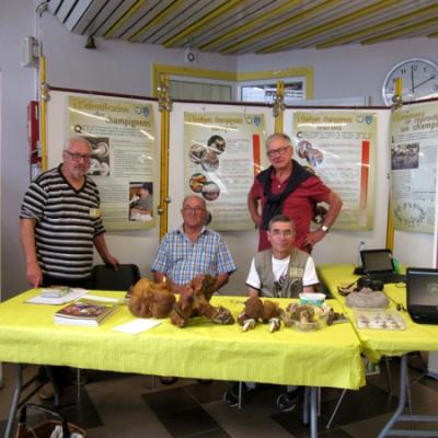 2019 08 31 Ploemeur 2 20190902 1755534038