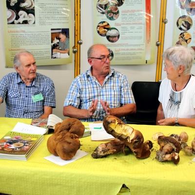 2019 08 31 Ploemeur 7 20190902 2072619079