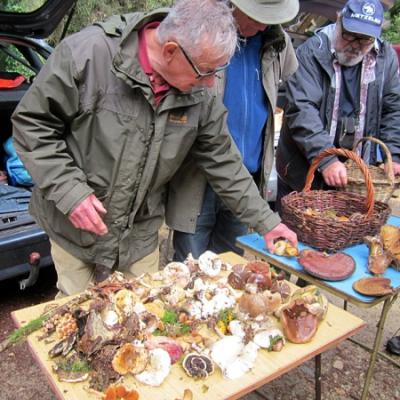 2019 09 22 Tremelin 2 20190923 1661563949