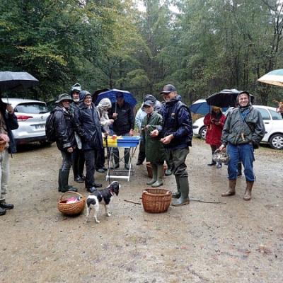 2019 10 13 Floranges 1 20191107 1483857055