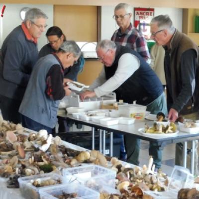 2019 10 20 Expo Rohan 1 20191205 1567572724