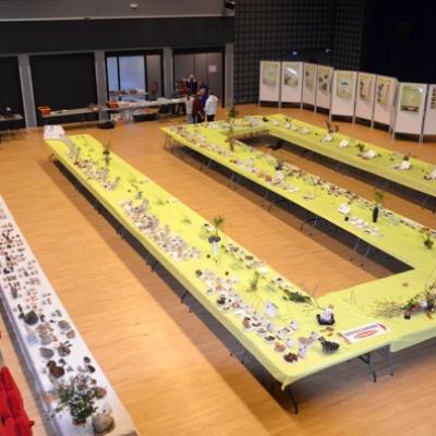 2019 11 03 Expo Ploemeur 4 20191206 1916879554