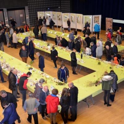 2019 11 03 Expo Ploemeur 8 20191206 1613056243