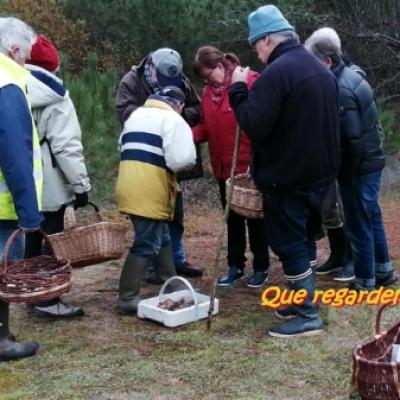 2019 11 17 Plouharnel 3 20191206 2046251137