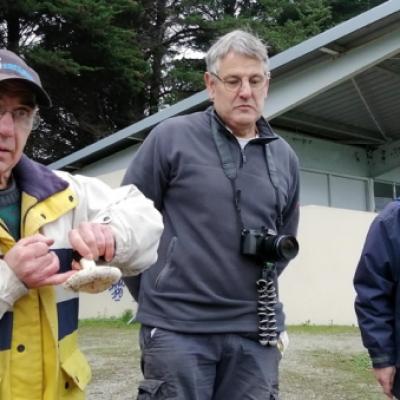 2019 11 17 Plouharnel 9 20191206 1718443236