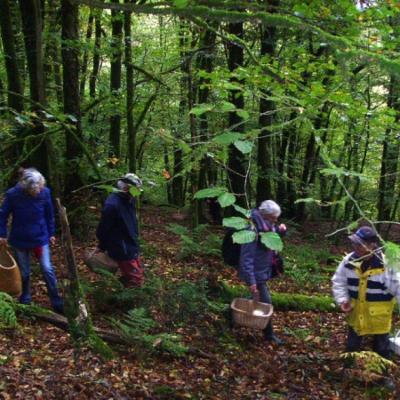 2020 10 11 Pont Callec 3 20201012 1281423246