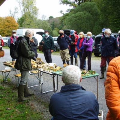 2020 10 11 Pont Callec 5 20201012 1358797312