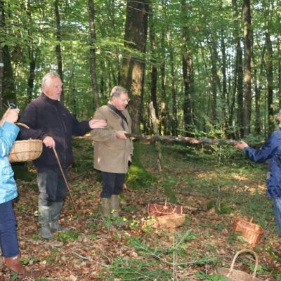 20211009 Foret De Camors Ampm 10