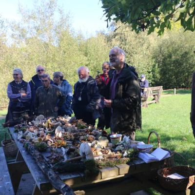 20211009 Foret De Camors Ampm 18