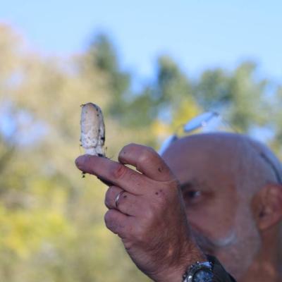 20211009 Foret De Camors Ampm 20