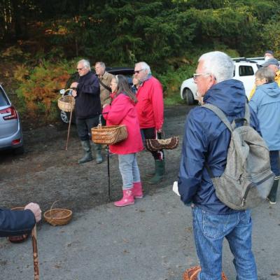 20211009 Foret De Camors Ampm 2