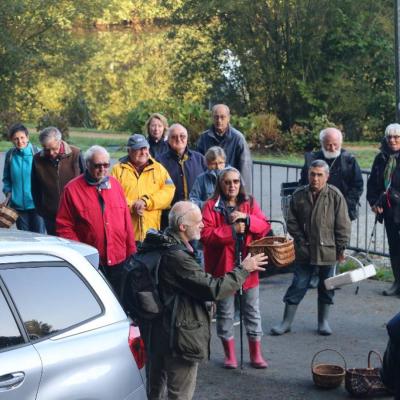 20211009 Foret De Camors Ampm 6